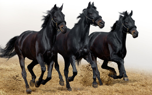 498852 (a): :2560x1600